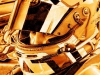 dsc_0143a_gold